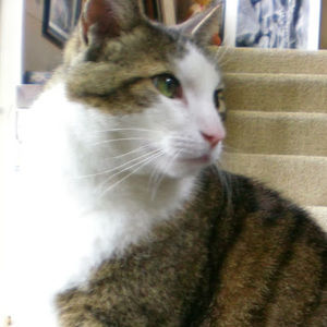 Meet your Posher, Judith